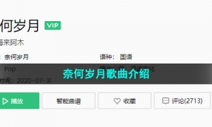 《抖音》奈何岁月歌曲介绍