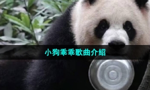 《抖音》小狗乖乖歌曲介绍
