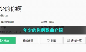 《抖音》年少的你啊歌曲介绍