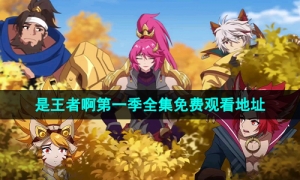 可以免费看是王者啊第一季全集的视频软件推荐