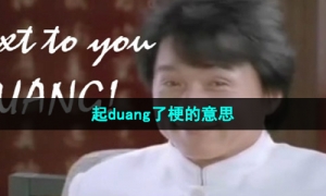 《抖音》起duang了梗的意思介绍