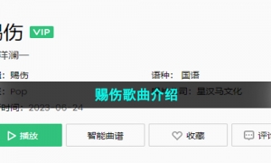 《抖音》赐伤歌曲介绍