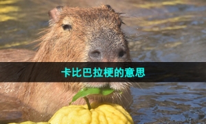 《抖音》卡比巴拉梗的意思介绍