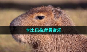 《抖音》卡比巴拉背景音乐介绍