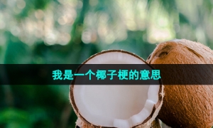 《抖音》我是一个椰子梗的意思介绍