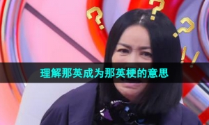《抖音》理解那英成为那英梗的意思介绍