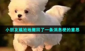 《抖音》小朋友尴尬地撤回了一条消息梗的意思介绍