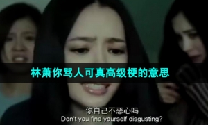 《抖音》林萧你骂人可真高级啊梗的意思介绍