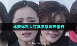 《抖音》林萧你骂人可真高级啊梗图表情包