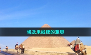 《抖音》埃及来啦梗的意思介绍