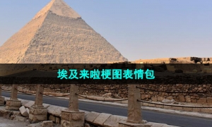 《抖音》埃及来啦梗图表情包分享