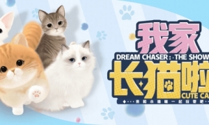 萌宠系统激萌来袭！《绝对演绎》沉浸式养猫互动玩法上线