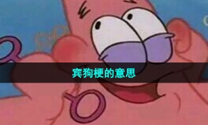 《抖音》宾狗梗的意思介绍
