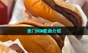 《抖音》麦门BGM歌曲介绍