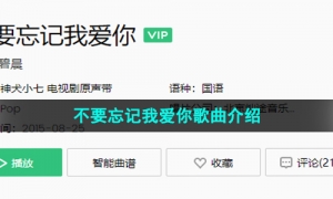 《抖音》不要忘记我爱你歌曲介绍