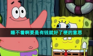 《抖音》睡不着啊要是有钱就好了梗的意思介绍