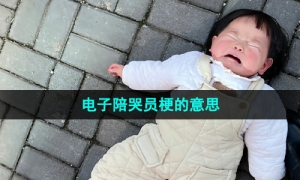 《抖音》电子陪哭员梗的意思介绍