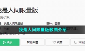 《抖音》我是人间限量版歌曲介绍