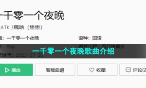 《抖音》一千零一个夜晚歌曲介绍