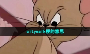 《抖音》citywalk梗的意思介绍