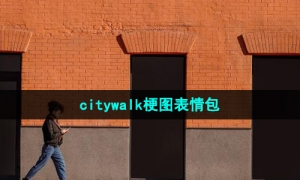 《抖音》citywalk梗图表情包分享