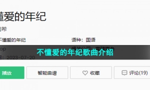 《抖音》不懂爱的年纪歌曲介绍