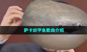 《抖音》萨卡班甲鱼歌曲介绍