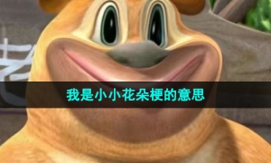 《抖音》我是小小花朵梗的意思介绍