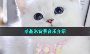 《抖音》哈基米背景音乐介绍