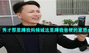 《抖音》秀才那里蹲我妈倾城这里蹲我爸梗的意思介绍