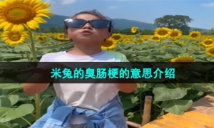 《抖音》米兔的臭肠梗的意思介绍