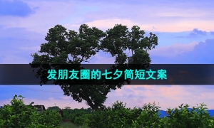 可以发朋友圈的七夕简短文案分享