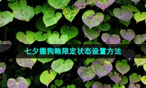 《微信》2023年七夕限定状态设置方法