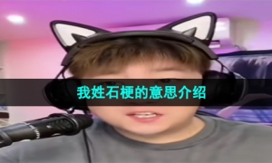 《抖音》我姓石梗的意思介绍