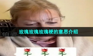 《抖音》玫瑰玫瑰玫瑰梗的意思介绍