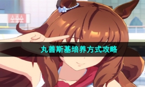 《闪耀优俊少女》丸善斯基培养方式攻略