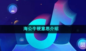 《抖音》海公牛梗意思介绍