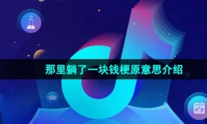 《抖音》那里躺了一块钱梗原意思介绍