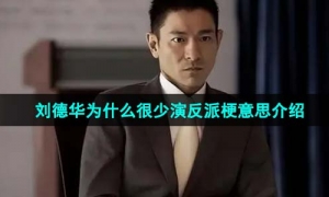 《抖音》刘德华为什么很少演反派梗意思介绍