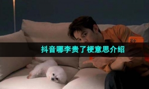 《抖音》哪李贵了梗意思介绍