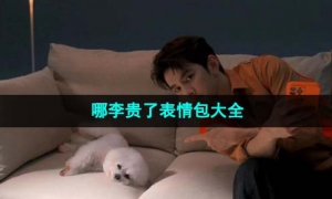 《抖音》哪李贵了表情包大全