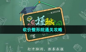 《爆梗脑洞》砍价整形院通关攻略