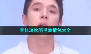 《抖音》李佳琦吹羽毛表情包大全