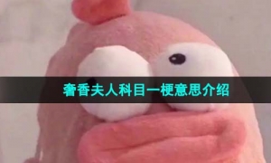 《抖音》奢香夫人科目一梗意思介绍