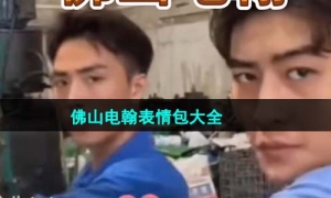 《抖音》佛山电翰表情包大全