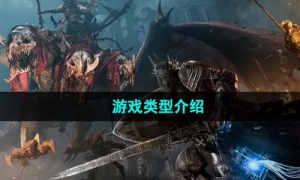 《堕落之主》游戏类型介绍