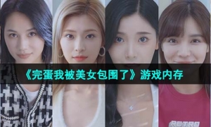 《完蛋我被美女包围了》游戏内存介绍