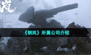 《钢岚》所属公司介绍