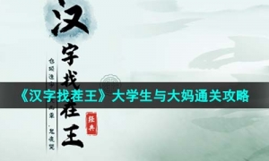 《汉字找茬王》大学生与大妈通关攻略