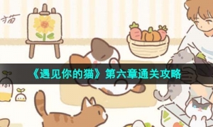 《遇见你的猫》第六章通关攻略